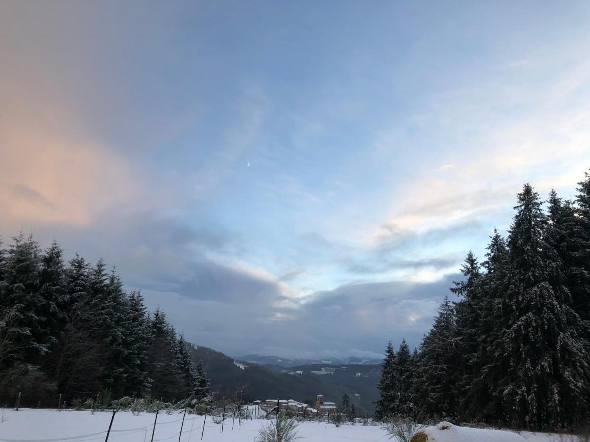 Le Chalet De La Goutte Saint-Appolinaire  外观 照片